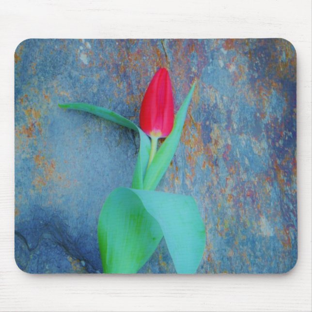 Red Tulip auf Blue Gray Slate Mousepad (Vorne)