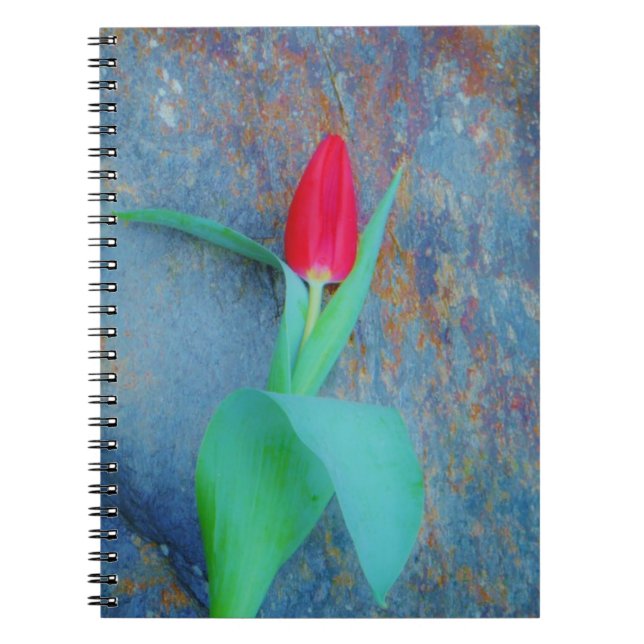 Red Tulip auf Blue Gray Slate Notizblock (Vorderseite)