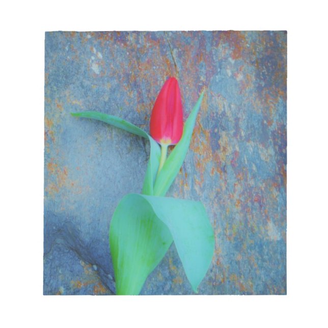 Red Tulip auf Blue Gray Slate Notizblock (Vorderseite)