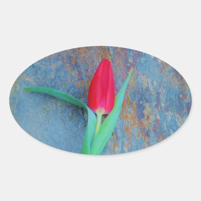 Red Tulip auf Blue Gray Slate Ovaler Aufkleber (Vorderseite)
