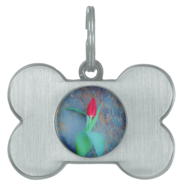 Red Tulip auf Blue Gray Slate Tiermarke (Vorderseite)