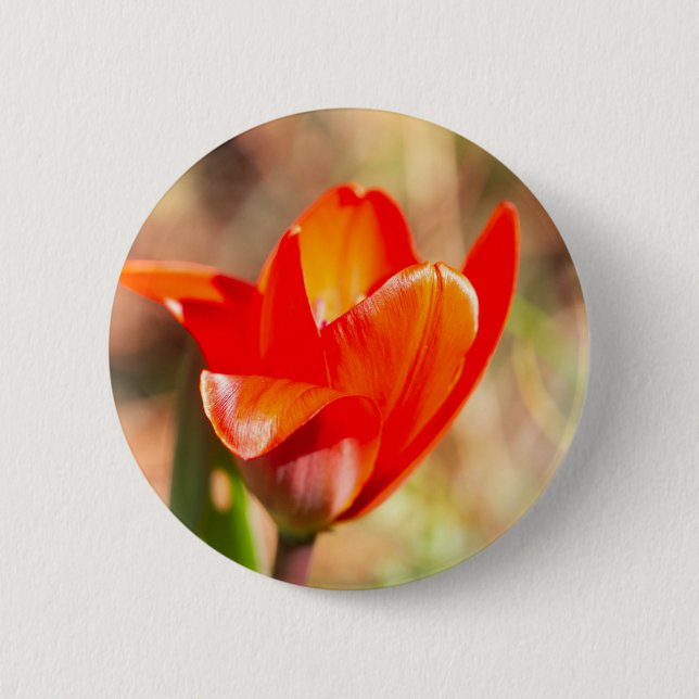 Red Tulip Blossom Button (Vorderseite)