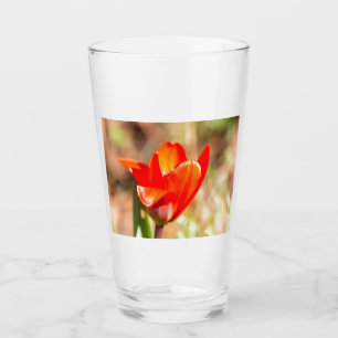 Red Tulip Blossom Glas