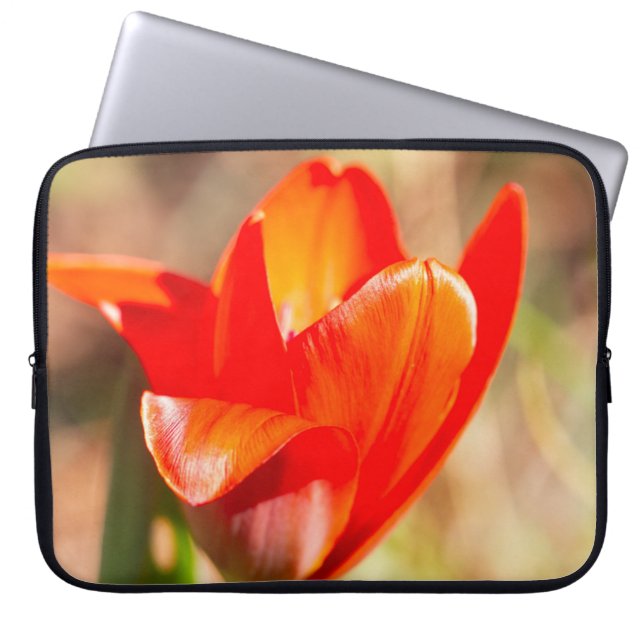 Red Tulip Blossom Laptopschutzhülle (Vorderseite)