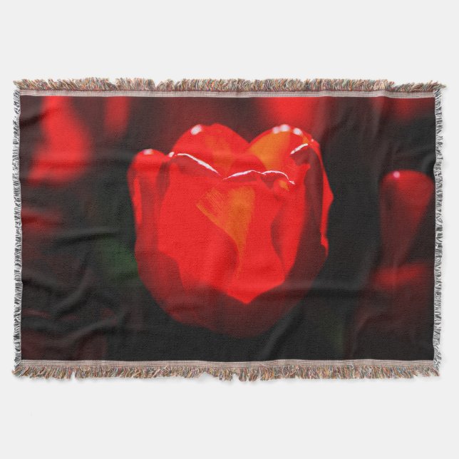 Red Tulip Blume - Feuer Decke (Vorderseite)