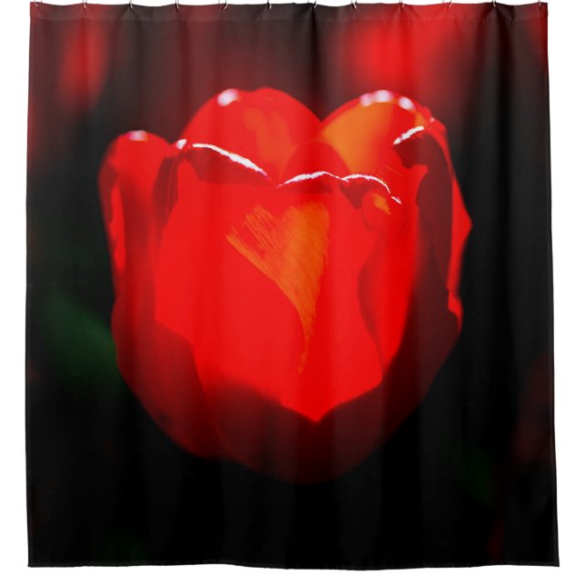 Red Tulip Blume - Feuer Duschvorhang (Vorderseite)