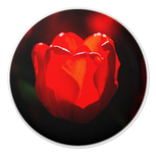 Red Tulip Blume - Feuer Keramikknauf