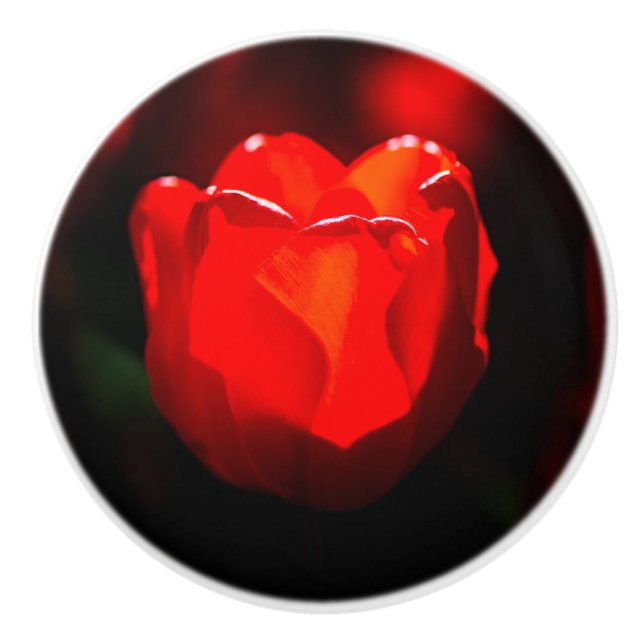 Red Tulip Blume - Feuer Keramikknauf (Vorderseite)