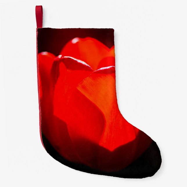 Red Tulip Blume - Feuer Kleiner Weihnachtsstrumpf (Vorderseite)