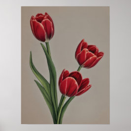 Red Tulip Blume Poster