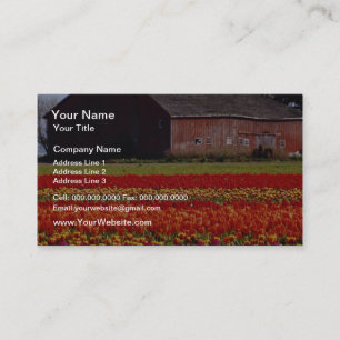 Red Tulip farm, Mot Vernon, Washington Blume Visitenkarte