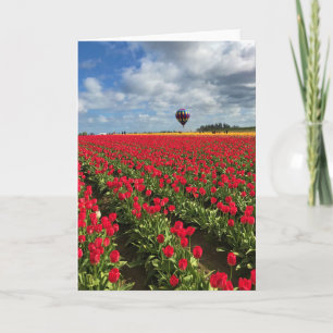 Red Tulip Field mit Hot Air Ballon Karte