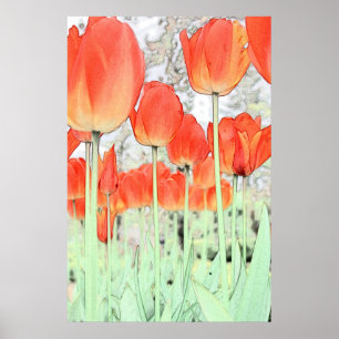 red tulip flower art poster. floral garden plant p poster