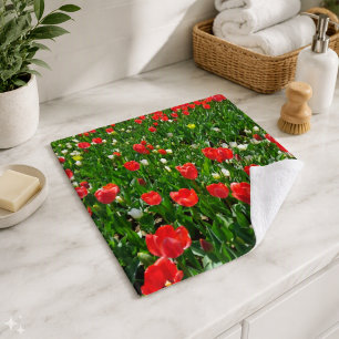 Red Tulip Flower Field Nature Photographie