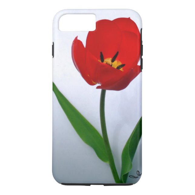 Red Tulip in Vollblut Case-Mate iPhone Hülle (Rückseite)