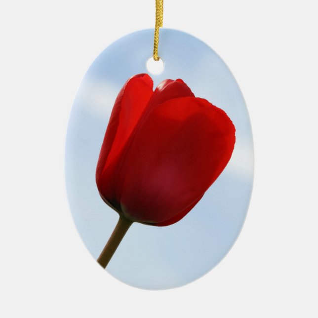 Red Tulip Ornament (Vorne)