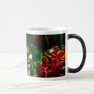 Red Tulip - Seine Majestät der König Verwandlungstasse