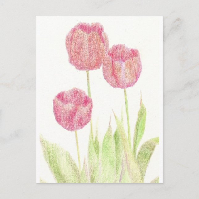 Red Tulip Spring Blume Hütte Postkarte (Vorderseite)