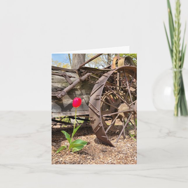 Red Tulip und Old Wagens Note Card Karte (Vorderseite)