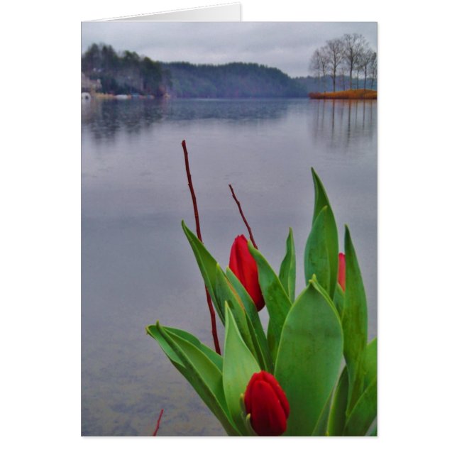 Red Tulips Blue Lake Arrowhead Wasser (Vorne)