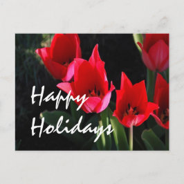 Red Tulips Feiertagspostkarte