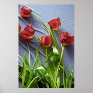 Red Tulips für Kerstin Poster Print