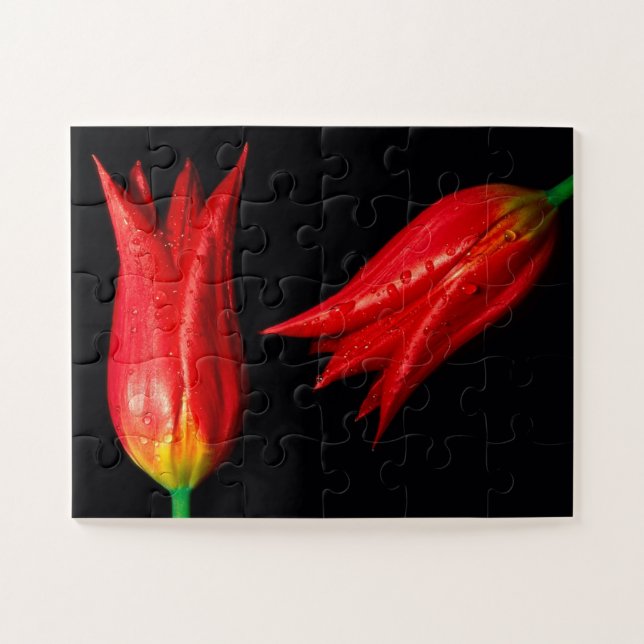 Red Tulips Game Puzzle (Horizontal)