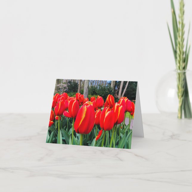 Red Tulips - Notecard Dankeskarte (Vorderseite)