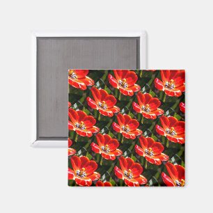 Red Tulips Pattern Magnet