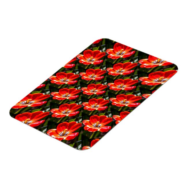 Red Tulips Pattern Magnet (Linke Seite)