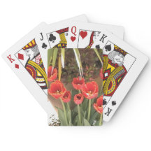 Red Tulips
