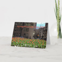 Red Tulips Spring Greetings von NYC-Karten Karte