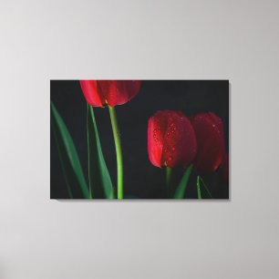 Red Tulips Wrapped Canvas Leinwanddruck