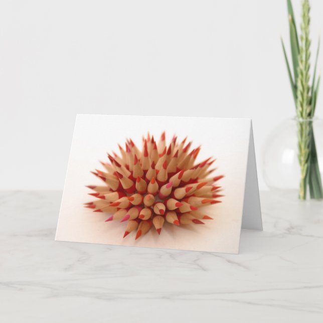 Red Urchin Karte (Vorderseite)