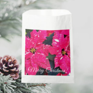 Red Variegated Poinsettias Weihnachtsblumen Geschenktütchen