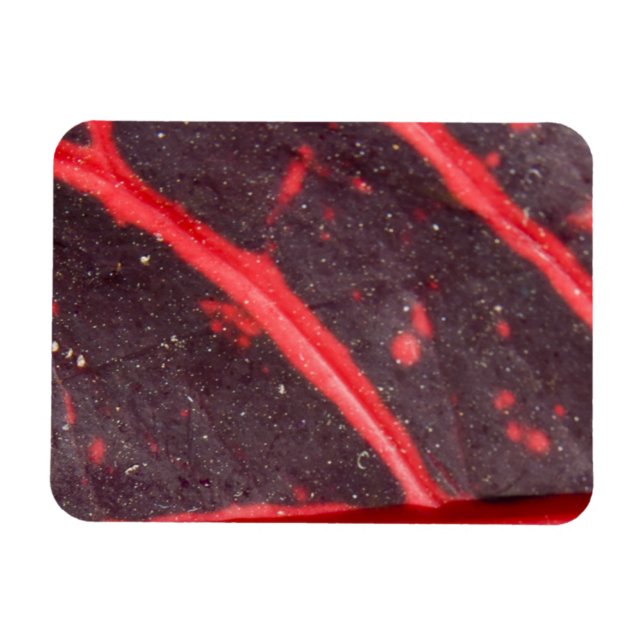 Red Veined Hawaiian Leaf 3 Magnet (Horizontal)