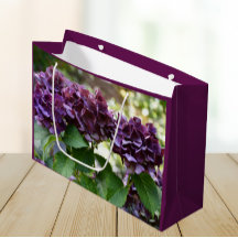 Red Violet Hydrangea Blooms Floral