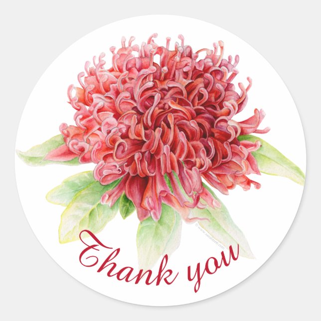 Red waratah botanique merci autocollant mariage (Devant)
