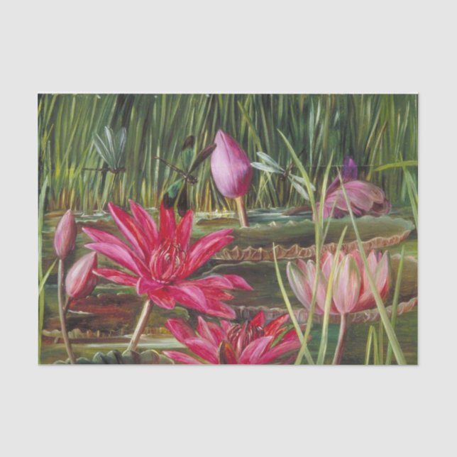 Red Water Lily von South India, Marianne North Seidenpapier (Vorderseite)