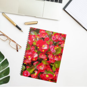Red Wax Begonias Floral Notizblock