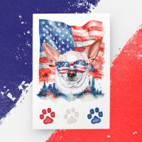 Red White Blue Chihuahua Dog American 4. Juli