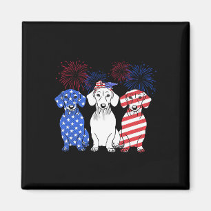 Red White Blue Dackel Dog Usa Flag Feuerwerk 4. Magnet