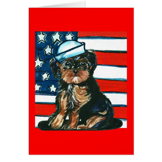 Red, White & Blue Yorkie Poo (Vorne)