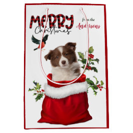 Red White Border Collie Puppy Dodge Weihnachten Mittlere Geschenktüte