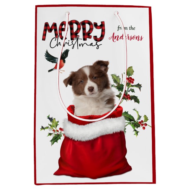 Red White Border Collie Puppy Dodge Weihnachten Mittlere Geschenktüte (Vorderseite)