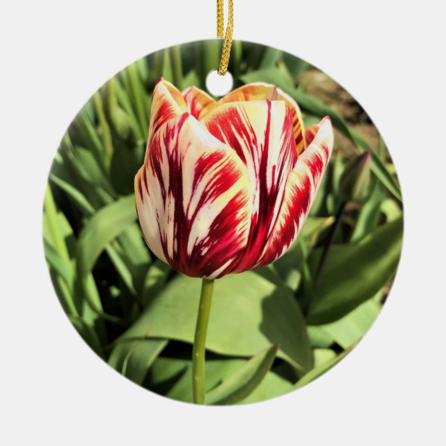 Red & White Tulip Keramik Ornament (Vorne)