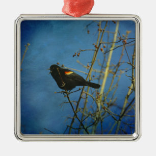 Red-Winged Black Bird singen Silbernes Ornament