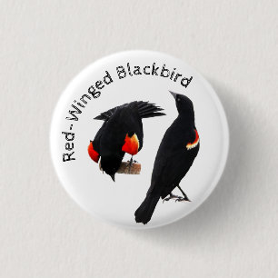 Red-Winged Blackbird Button