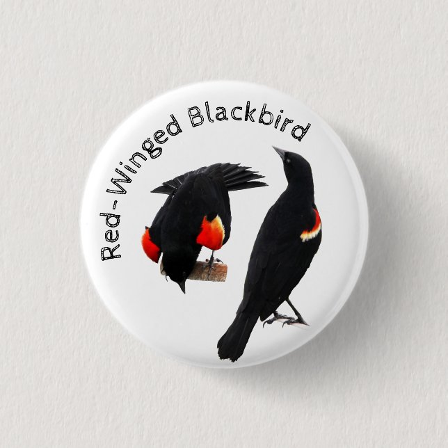 Red-Winged Blackbird Button (Vorderseite)
