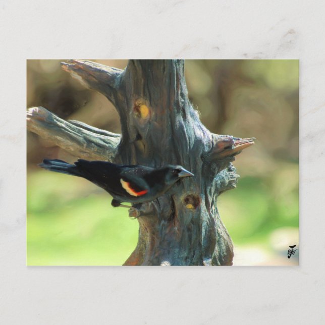 Red Winged Blackbird Postkarte (Vorderseite)
